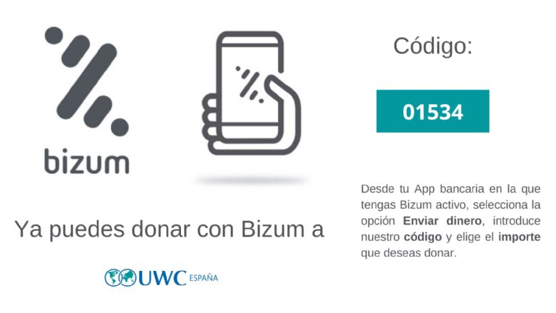 about BIZUM
